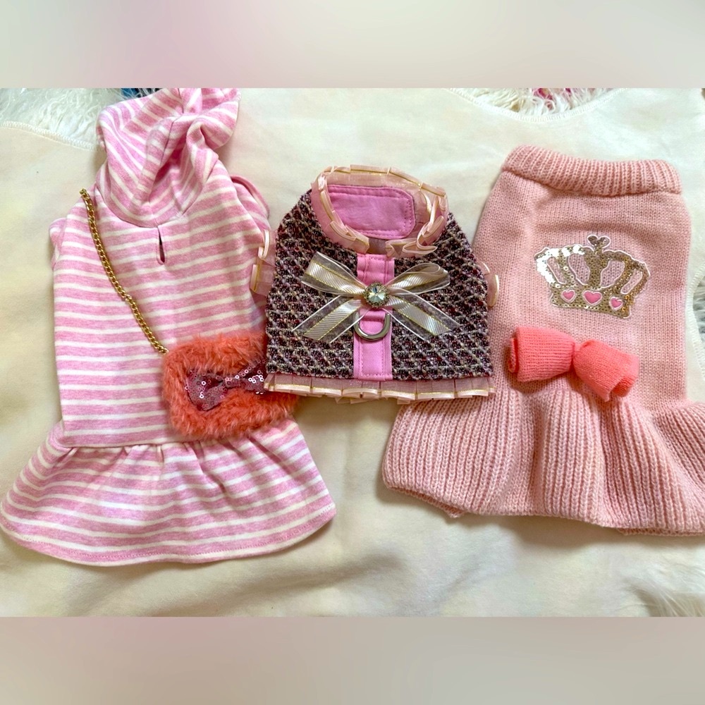 “I’d Rather Be Shopping”- Sweater and Harness Set- Size Small 🐾